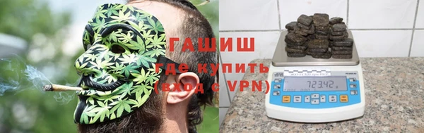 стаф Дедовск