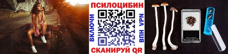 Галлюциногенные грибы мицелий  Тихвин 